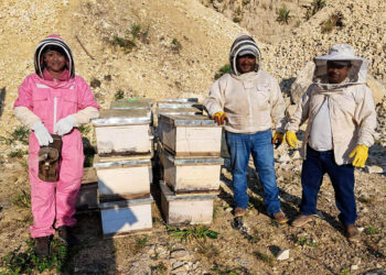Entregan colmenas a nuevos apicultores en Petén