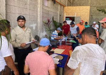 Entregan licencias de transporte de alimentos en Petén