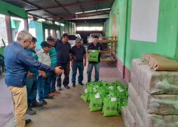 Entregan semillas y brindan asistencia técnica a productores de café de Escuintla