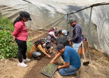 Familias de Malacantancito reciben asistencia técnica para huerto comunitario