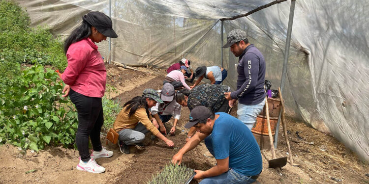 Familias de Malacantancito reciben asistencia técnica para huerto comunitario