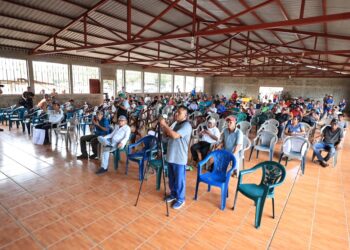 Promueven la implementación de buenas prácticas ganaderas en Alta Verapaz