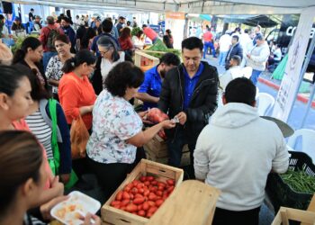 Inauguran la Feria del Agricultor en la ciudad capital