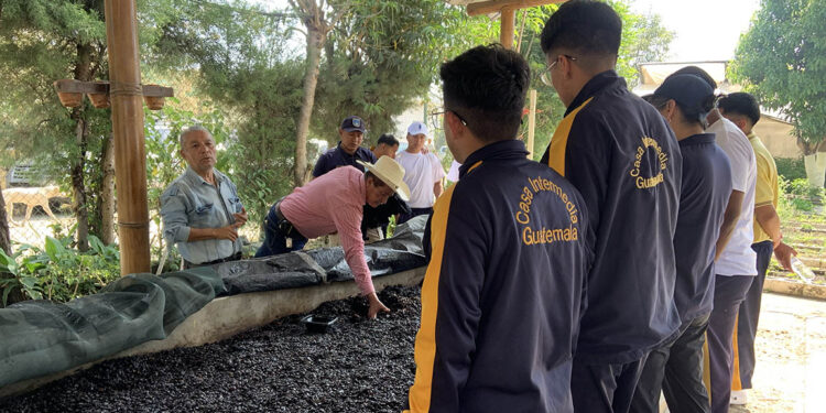 Jóvenes aprenden sobre la importancia de la agricultura y su impacto en el desarrollo