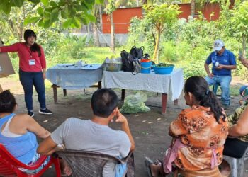 La agricultura familiar fortalece la alimentación saludable de comunidades escuintlecas