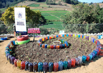 Los Huertos Escolares Pedagógicos fomentan la agricultura familiar en Zacapa