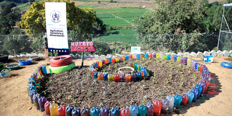 Los Huertos Escolares Pedagógicos fomentan la agricultura familiar en Zacapa