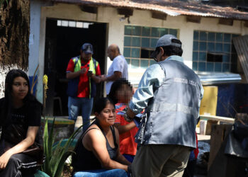 Más de 100 gatos ferales esterilizados en la zona 7 capitalina