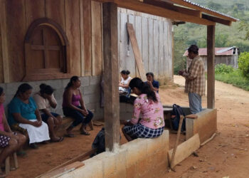 Ofrecen asistencia técnica a proyecto avícola en comunidad Nueva Armenia