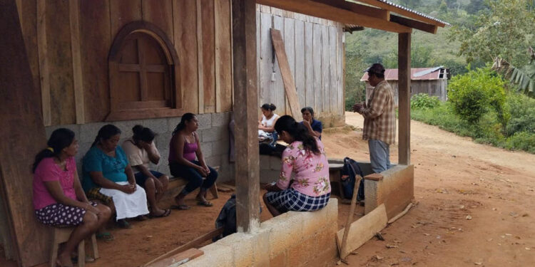 Ofrecen asistencia técnica a proyecto avícola en comunidad Nueva Armenia