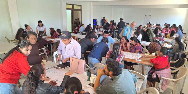 Productores de hongo ostra destacan durante encuentro regional