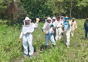 Productores fortalecidos en Buenas Prácticas Apícolas