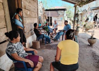 Promueven cultivo del frijol para contribuir a la dieta y salud del suelo