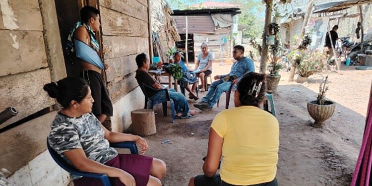 Promueven cultivo del frijol para contribuir a la dieta y salud del suelo