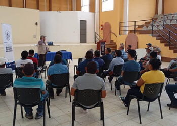 Promueven la implementación de buenas prácticas ganaderas en Alta Verapaz