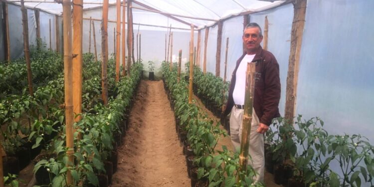 Reactivación y modernización de la actividad agropecuaria claves para el desarrollo