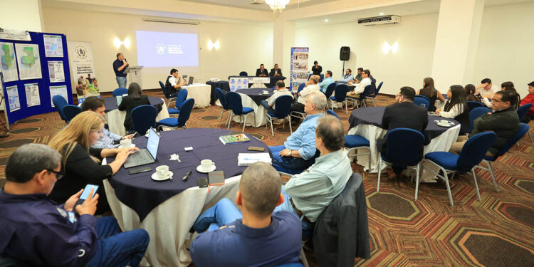 Realizan taller para la validación del mapa de cobertura vegetal