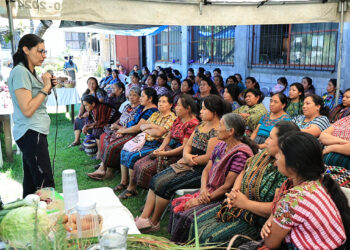 Reconocen rol de las mujeres rurales en la seguridad alimentaria y la economía