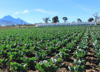 Se aleja el frío, ingresa la temporada de calor y lluvias