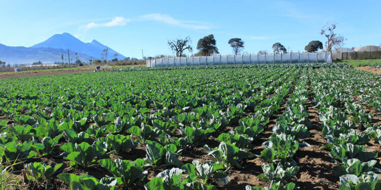 Se aleja el frío, ingresa la temporada de calor y lluvias