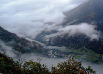 Se monitorean 218 municipios para la protección de cultivos