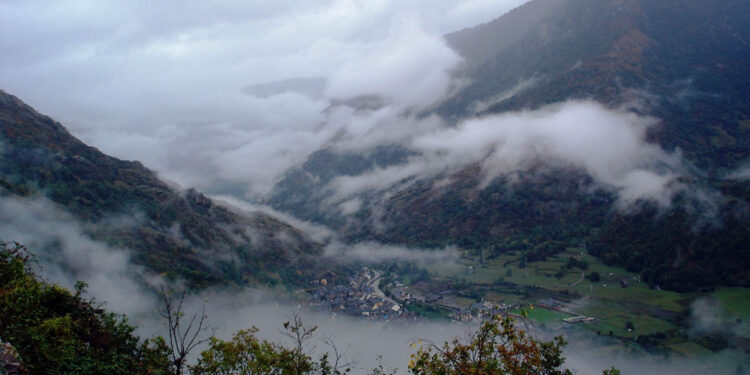 Se monitorean 218 municipios para la protección de cultivos