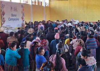 Semillas criollas llegan a más de mil agricultores y agricultoras gracias al Bono Campesino