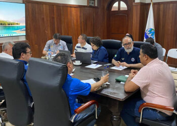 Tres países unifican acciones para combatir la hormiga roja loca