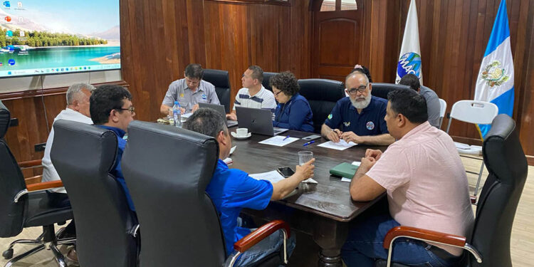 Tres países unifican acciones para combatir la hormiga roja loca