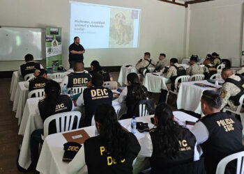 UBA participa en taller de Legislación ambiental y delitos contra la vida silvestre