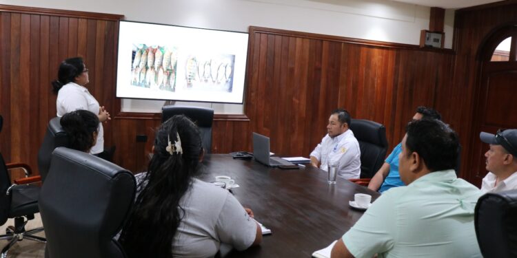 Avanza conservación del Pez Blanco en Petén