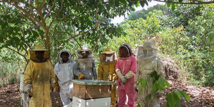 Apicultores de Dolores fortalecen sus conocimientos en Apicultura Tropical
