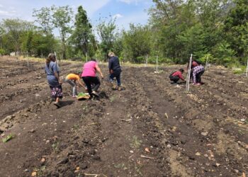 Implementan huerto comunitario en Río Hondo