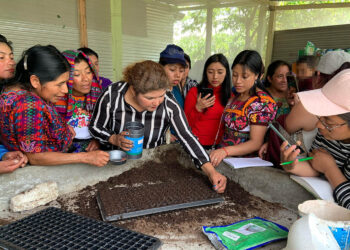 Agricultoras visitan granja Integral Agropecuaria para mejorar sus procesos de cultivo y pecuario