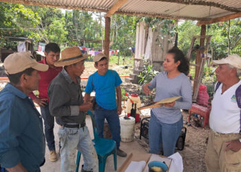 Capacitación técnica especializada fortalece sector apícola de Petén