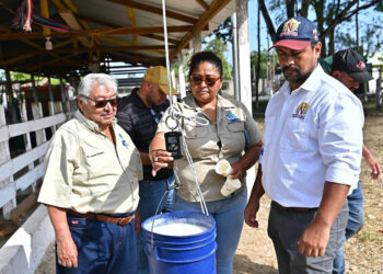 Concurso resalta el potencial del hato lechero en Petén