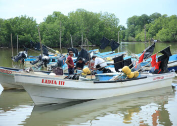 Decretan veda temporal para varias especies en el Atlántico