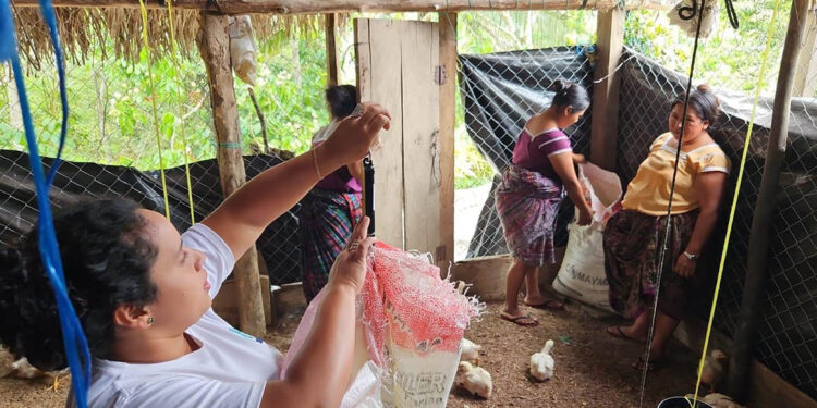 Distribuyen concentrado en granjas ubicadas en Zona de Adyacencia