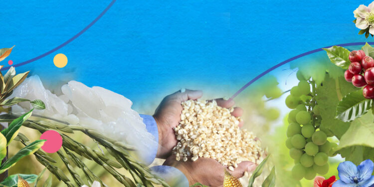 Emitimos 2232 Permisos de Importación de Productos Agrícolas