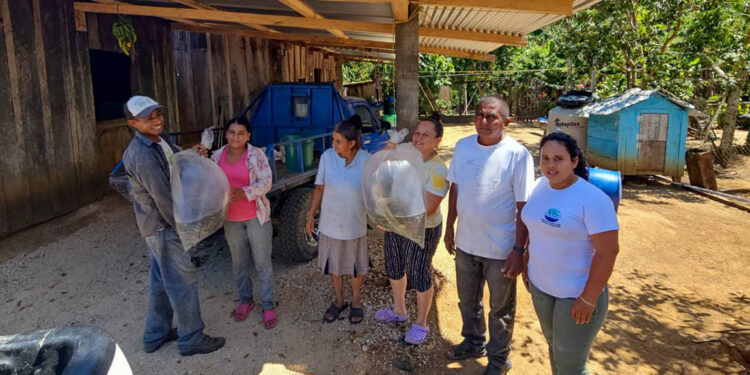 Entregan más de ocho mil alevines de tilapia en comunidades de Petén