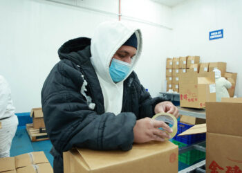 Establecen normas sanitarias para el almacenamiento de pescado y mariscos