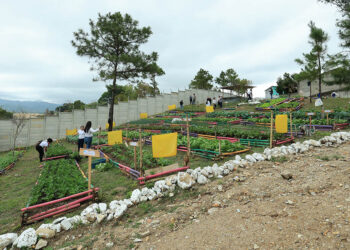 Estrategia AGROVIDA fortalecerá el desarrollo comunitario