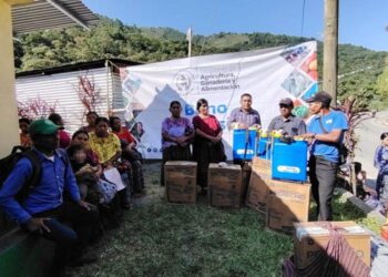 Familias agricultoras de Alta Verapaz reciben Bono Campesino