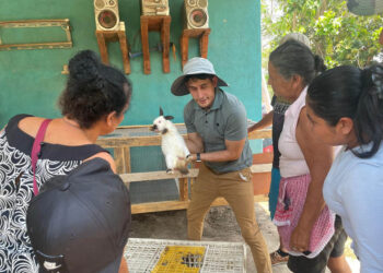 Familias de Santa Rosa reciben conejos y capacitación en cunicultura