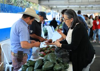 Feria del Agricultor apoya la economía de más de 3 mil consumidores
