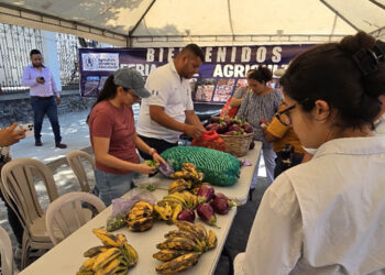 Feria del Agricultor dinamiza la economía de los hogares de Sanarate