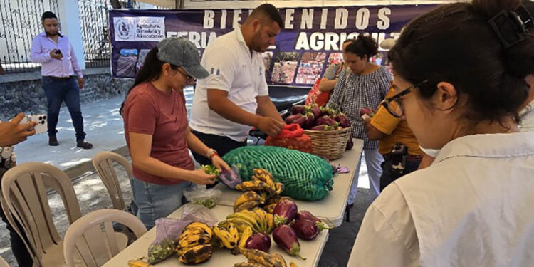 Feria del Agricultor dinamiza la economía de los hogares de Sanarate