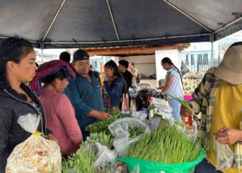 Feria del Agricultor impulsa la producción de Quiché