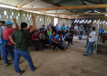 Fortalecen conocimientos de productores de cacao