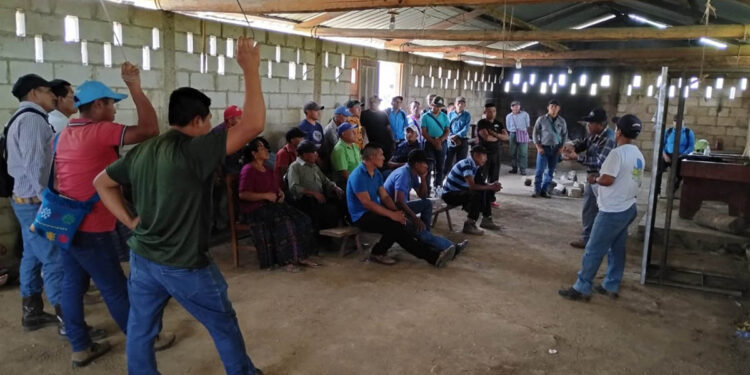 Fortalecen conocimientos de productores de cacao